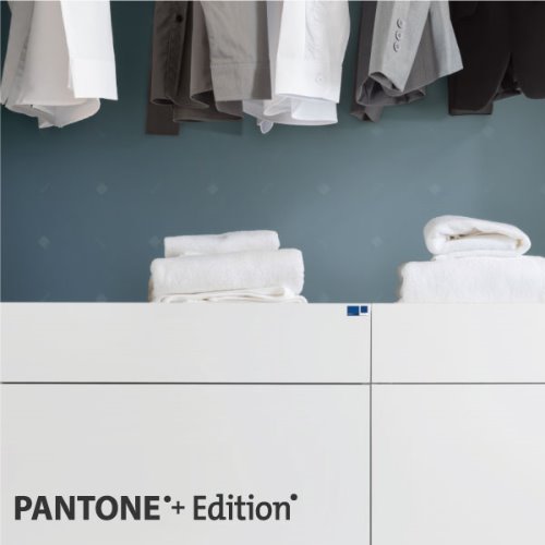 PANTONE +Edition 010