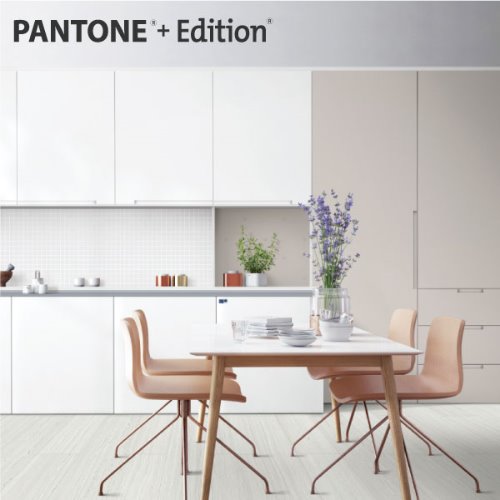 PANTONE +Edition 001